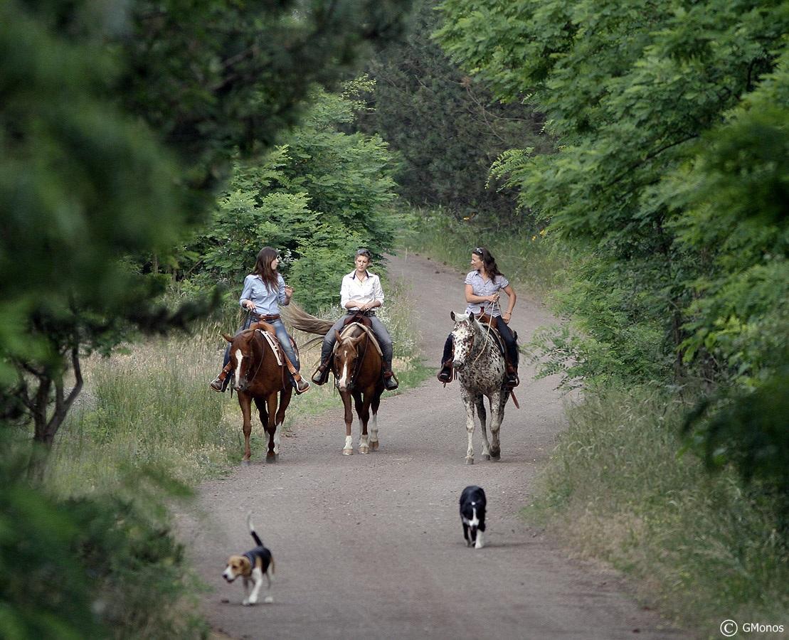 El Bronco Working Ranch Izsák Exteriör bild