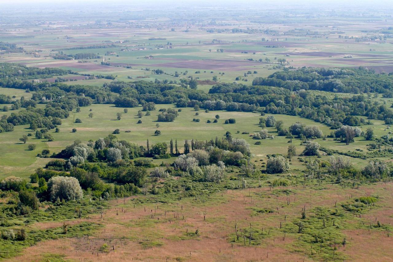 El Bronco Working Ranch Izsák Exteriör bild