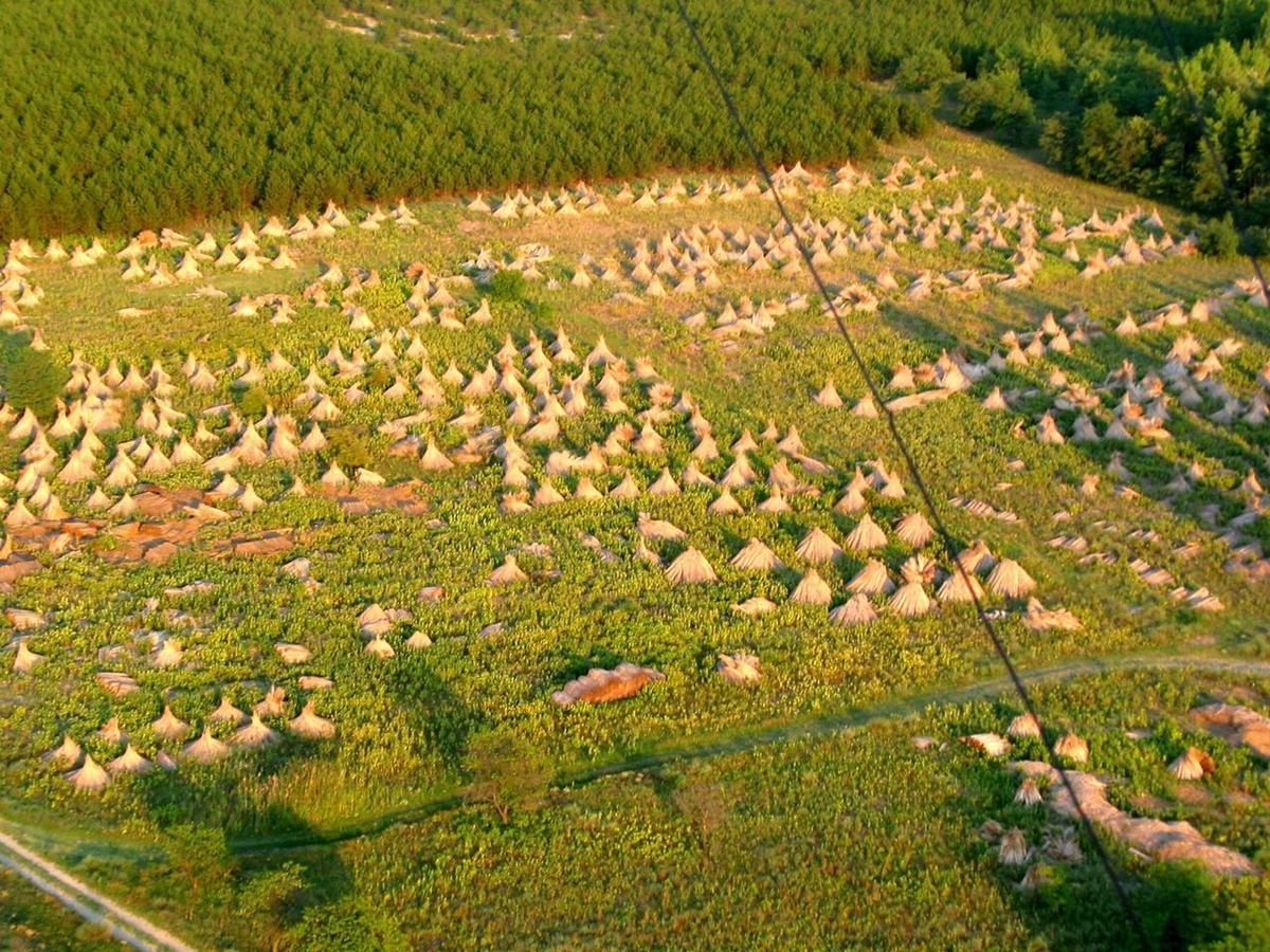 El Bronco Working Ranch Izsák Exteriör bild
